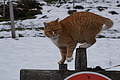 DSC01350 - Bernhard Saalfeld