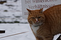 DSC01354 - Bernhard Saalfeld