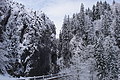 DSC01368 - Bernhard Saalfeld