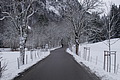 DSC01374 - Bernhard Saalfeld