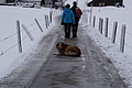 DSC01380 - Bernhard Saalfeld