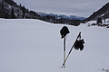 DSC01386 - Bernhard Saalfeld