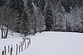 DSC01388 - Bernhard Saalfeld