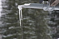 DSC01389 - Bernhard Saalfeld