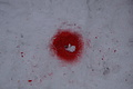DSC01390 - Bernhard Saalfeld