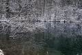 DSC01396 - Bernhard Saalfeld