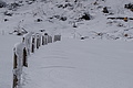 DSC01404 - Bernhard Saalfeld