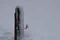 DSC01414 - Bernhard Saalfeld