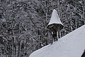 DSC01415 - Bernhard Saalfeld