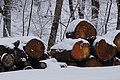 DSC01424 - Bernhard Saalfeld
