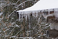 DSC01429 - Bernhard Saalfeld
