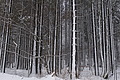 DSC01439 - Bernhard Saalfeld