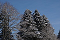DSC01461 - Bernhard Saalfeld