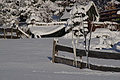 DSC01463 - Bernhard Saalfeld