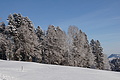 DSC01466 - Bernhard Saalfeld