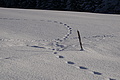 DSC01469 - Bernhard Saalfeld