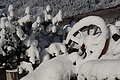 DSC01470 - Bernhard Saalfeld