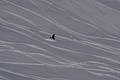 DSC01477 - Bernhard Saalfeld