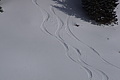 DSC01478 - Bernhard Saalfeld