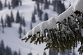 DSC01490 - Bernhard Saalfeld