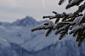 DSC01491 - Bernhard Saalfeld