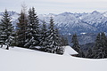 DSC01495 - Bernhard Saalfeld