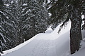 DSC01505 - Bernhard Saalfeld