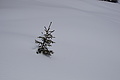 DSC01506 - Bernhard Saalfeld