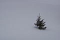 DSC01513 - Bernhard Saalfeld