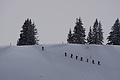 DSC01522 - Bernhard Saalfeld