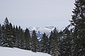 DSC01547 - Bernhard Saalfeld