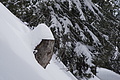 DSC01548 - Bernhard Saalfeld