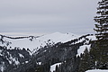 DSC01553 - Bernhard Saalfeld