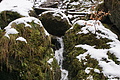 DSC01556 - Bernhard Saalfeld