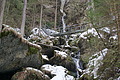 DSC01557 - Bernhard Saalfeld