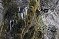DSC01567 - Bernhard Saalfeld