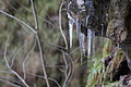 DSC01568 - Bernhard Saalfeld