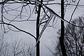 DSC01570 - Bernhard Saalfeld