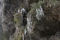 DSC01571 - Bernhard Saalfeld