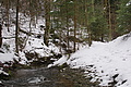 DSC01582 - Bernhard Saalfeld