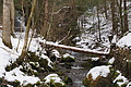 DSC01584 - Bernhard Saalfeld