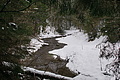 DSC01585 - Bernhard Saalfeld