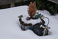 DSC01589 - Bernhard Saalfeld