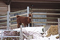 DSC01592 - Bernhard Saalfeld