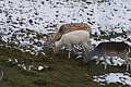 DSC01594 - Bernhard Saalfeld