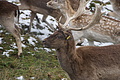 DSC01595 - Bernhard Saalfeld