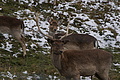 DSC01596 - Bernhard Saalfeld