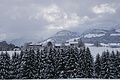 DSC01597 - Bernhard Saalfeld