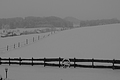 DSCF3563 - Bernhard Saalfeld