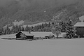 DSCF3565 - Bernhard Saalfeld